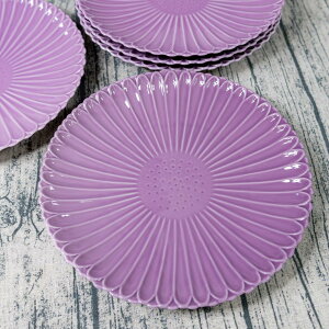 y11/14~11/16 23:59܂ N[|10%+P20{ Z[z _ g ^ y ĖFq z M 傫 M 傫M v[gM pX^M ێM M M  }[S[h p[v 8 TCY a  24cm 