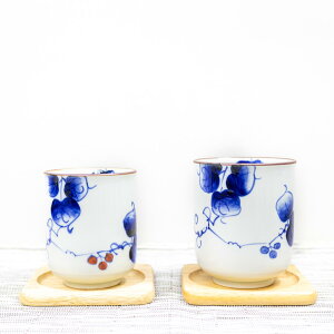 y 10/25 23:59܂ 30%N[| s z _ g ^ y R z ̂ ۂ   ̂ Rbv yA  ؂̎ e  200ml  160ml _ 킢  