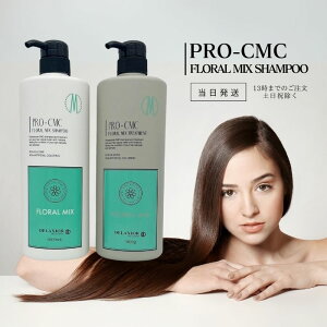 fNVI vCMC t[~bNX Vv[1000ml g[gg 1000ml 2{Zbg r^~C AXRr_ VRAGLX A~m_ R R_  ێ 