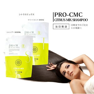 fNVI v CMC VgX~bNX Vv[ 3000ml g[gg 3000g lւp tB lߑւ l߂ Zbg cw 