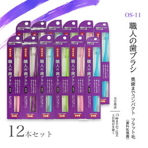 OS-11 El̎uV ܂ŃRpNg tbg uV 12{ ₷
