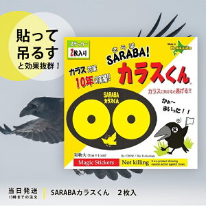 SARABA JX 2 kCoCIZN^[ JX΍ ObY ΃JX JX  悯 S~ AEghA Lv O 