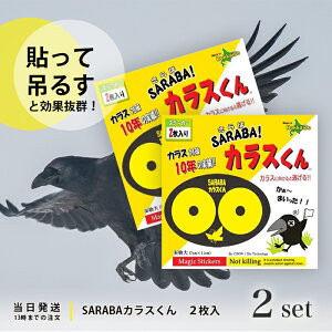 SARABA JX 2 2Zbg kCoCIZN^[ JX΍ ObY ΃JX JX  悯 S~ AEghA Lv O 