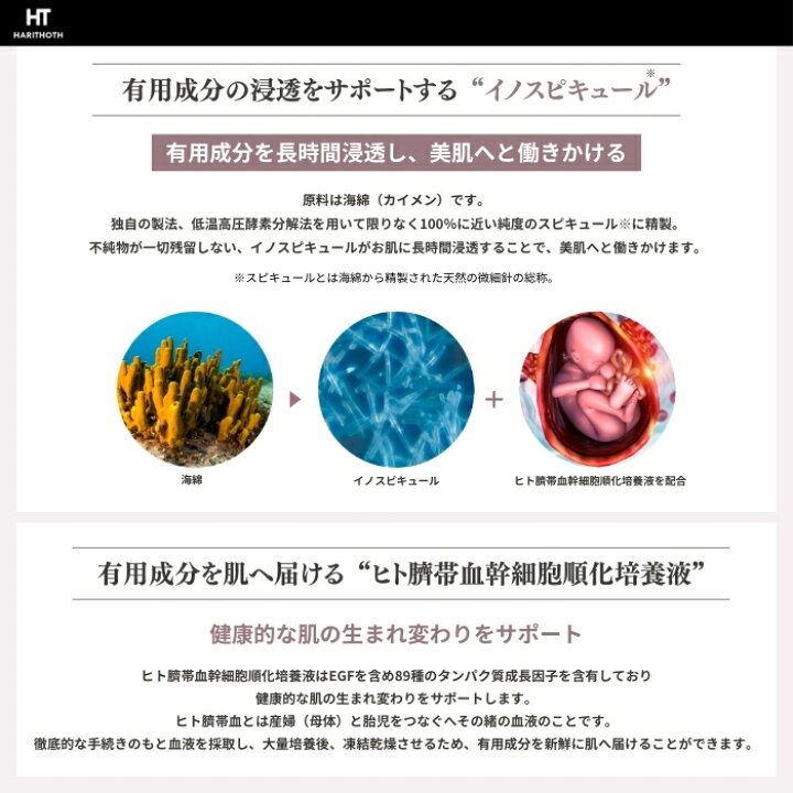楽天市場】ハリトス HT コルセットファンデーション 15g 2個セット 