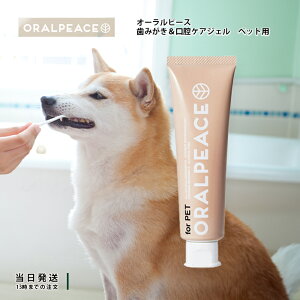 I[s[X ybgp ݂ oPAWF ybg ݂  L  \h oPA 