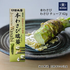 田丸屋本店 静岡本わさび わさび チューブ 42g 山葵 静岡 無着色 本わさび 水葵 瑞葵 調味料 送料無料