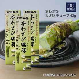 田丸屋本店 静岡本わさび わさび チューブ 42g 3個セット 山葵 静岡 無着色 本わさび 水葵 瑞葵 調味料 送料無料