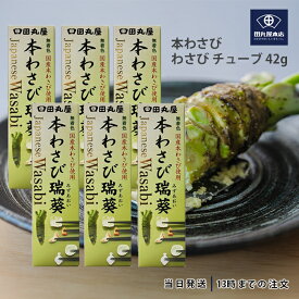 田丸屋本店 静岡本わさび わさび チューブ 42g 6個セット 山葵 静岡 無着色 本わさび 水葵 瑞葵 調味料 送料無料