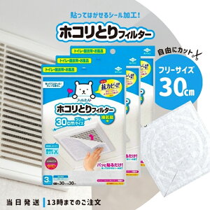 tB Cp 30cm × 30cm 3 3Zbg mA~ pbƓ\邾 zRƂ tB^[ \邾 C gC Eߏ 