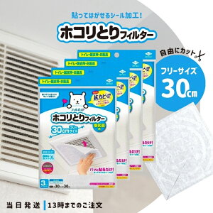 tB Cp 30cm × 30cm 3 4Zbg mA~ pbƓ\邾 zRƂ tB^[ \邾 C gC Eߏ 