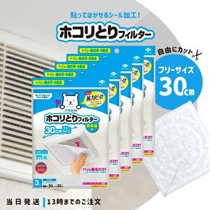 tB Cp 30cm × 30cm 3 5Zbg mA~ pbƓ\邾 zRƂ tB^[ \邾 C gC Eߏ 