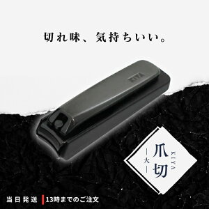 ؉ ܐ؂   ߂  | ؂ꖡ Q  Mtg v[g 