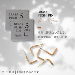 BRASS プッシュピン Lフック 5sets 2個セット Horn Please by Recreational Vehicle 真鍮 壁 金具 押しピン ハンガー おしゃれ ギフト L字フック 引っ掛け PUSH PIN 送料無料