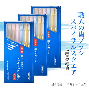 El̎uV XpCXNGA RpNgwbh ӂ 6{g 3Zbg  ˂˂ Y CtW C a uV 30 40 50