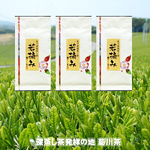 ���� ��Ԓ� ��E�� �y100g�A100gx3�z 2025�N�Y �������� �[�������� �e�쒃 �y�[�������p�}�{�����g�����������z�P�i10���w���Ńv���X2�T�[�r�X�I ���N�� ���Ε�
