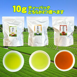 ق Β Ē IׂeB[obO Ղ10g 60i30x2܃Zbgj ÉY g₷`bN   Ɩp eB[pbN