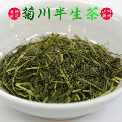 お茶【当店人気ナンバーワン!】深蒸し煎茶一番茶『やぶきた茶』100g【深蒸し茶用急須をお使いください】【送料無料】日本茶お茶緑茶煎茶深蒸し茶静岡茶茶葉お茶御中元お歳暮お茶御歳暮健康茶カクト茶葉菊川茶お茶05P01Mar16