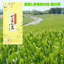 新茶 2019年度産 お茶 静岡茶 やぶきた茶 100g 深蒸し茶 緑茶 日本茶 煎茶 茶葉 送料無料