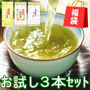  Zbg Ԃ _Ƃ̈p  3{Zbg 2025NYy[p}{gz e쒃 É 