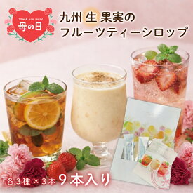 フルーツティー ギフト 母の日 9本セット 九州産果実 紅茶 ギフト ティーギフト おしゃれ プレゼント 女性 誕生日 内祝い お礼