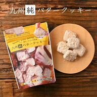 九州純バタークッキー 送料無料 国産 素材 昭栄堂 国産素材にこだわった 高千穂バター チクゴイズミ ぼる…