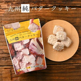 九州純バタークッキー 送料無料 国産 素材 昭栄堂 国産素材にこだわった 高千穂バター チクゴイズミ ぼる塾 田辺 国産 宮崎 バタークッキー 美味しい スノーボール クッキー 卵不使用 プチギフト 和三盆 カルディ