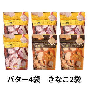 九州純バタークッキー 6袋セット 送料無料 国産 素材 昭栄堂 国産素材にこだわった 高千穂バター きなこ チクゴイズミ ぼる塾 田辺 国産 宮崎 バタークッキー 美味しい スノーボール クッキ