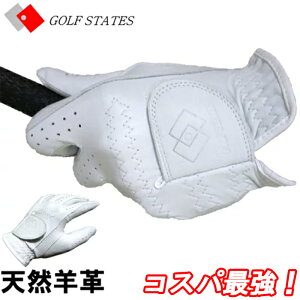 yEB^[Z[JÒzStXe[c@V[vO[u@VRrv@p̂݁@StO[u@̏i͊O͂܂B@iɂ葽F̈Ⴂ܂@