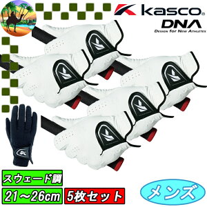 yI[^Z[JÒz5Zbg@SF-2010@p@LXR@DNA O[u@StO[u@KASCO