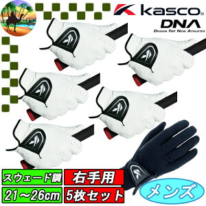 yI[^Z[JÒz5Zbg@SF-2010R@LXR@Ep@DNA O[u@StO[u@KASCO@܂Ƃߔ