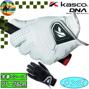 �y�X�v�����O�Z�[���J�Ò��zGF-2012�@�L���X�R�@DNA�@�V�[�v�O���[�u�@�r�v�O���[�u�@�S���t�O���[�u�@KASCO