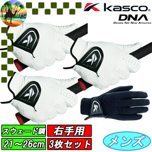 yI[^Z[JÒz3Zbg@SF-2010R@LXR@Ep@DNA O[u@StO[u@Kasco@܂Ƃߔ