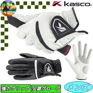 yI[^Z[JÒzSF-2312@LXR@DNA@VR@O[u@p@StO[u@VR[