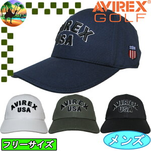 ySi5N[| 30܂ŁzAVG4F-CP1@ArbNXSt@StLbv@Xq@AVIREX GOLF