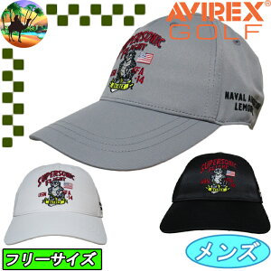 ySi5N[| 30܂ŁzAVG4F-CP8@ArbNXSt@X[p[\jbN@StLbv@Xq@AVIREX GOLF