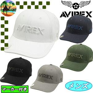 ySi5N[| 30܂ŁzAVG2F-CP1@ArbNX@}[J[t@St Lbv@Y Lbv@AVIREX@Am