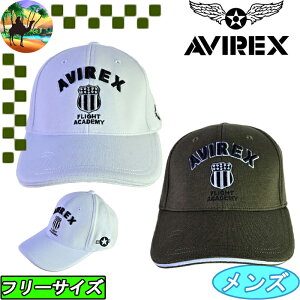 AVG3F-CP3�@�A�r���b�N�X�S���t�@�N���X�g�@�S���t�L���b�v�@�X�q�@AVIREX GOLF