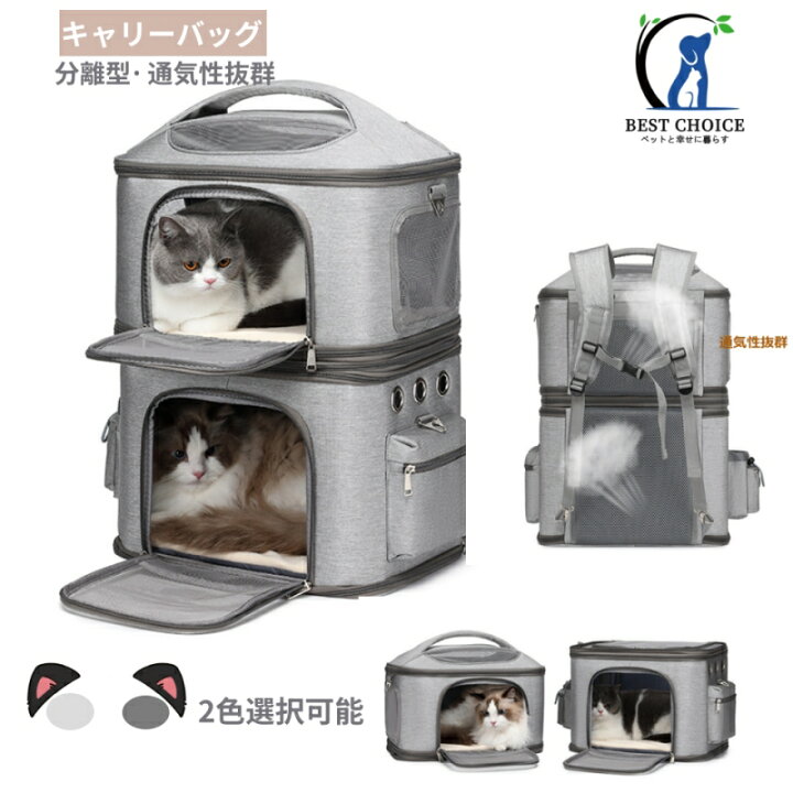 楽天市場】猫 リュックバッグ 2匹用 2層 猫 多頭飼い ボストンキャリー 