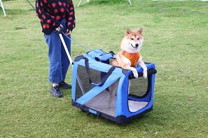 ynhtzzybgL[ ܂肽 LX^[t ^ ^ L \tgN[g ybgL[obO |[^uP[W ybgnEX |[^uP[W h o U