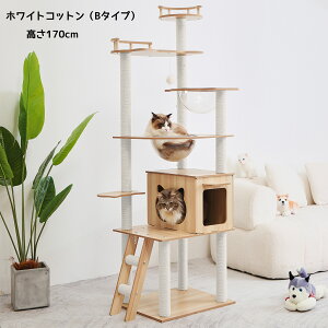 y24Ԍ1000~OFFN[|zyV1ʁLbg^[ ؐ u X L^[  X[v ܂Ƃ FD nbN iK LnEX  L ^[ ^L 