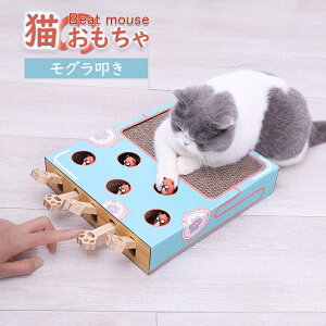 O@ ܂Ƃi{[L̂VѓϖՐ ܂Ƃ ʔLxbh LnEX LbgpcgM ߂݂ ܖ܌ _{[ ˂lRqL@\ ϋv ȃX