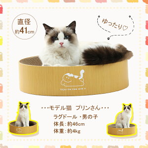 【楽天1位受賞】猫 爪とぎ 爪研ぎ 猫爪とぎ 猫ボウル 猫 爪研き ダンボール 段ボール ダンボール つめとぎ 爪みがき 爪磨き 爪研ぎ 遊び 大きいサイズ お手入れ用品 おしゃれBIGサイズ 爪研ぎ