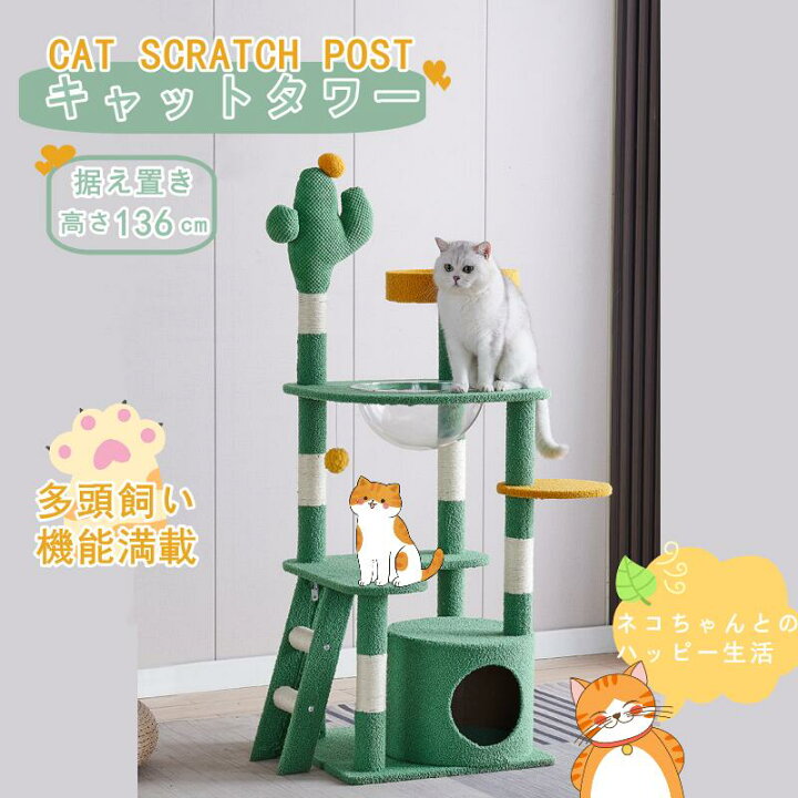 楽天市場】キャットタワー 透明宇宙船付き サボテン猫タワー キャット 