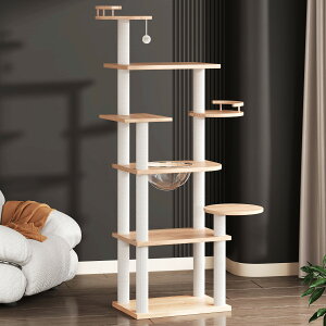 yX[p-SALE×10OFFzLbg^[ ^L VR i` L^[ u   xbh  lR Lp ^s XgX 萫Q k Vv 