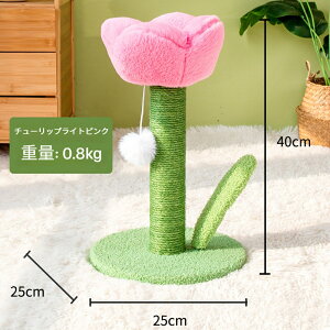 Lbg^[ ܌ `[bv܌|[  L͂ݔ Ȃ 킢 ins L̂ Lpi