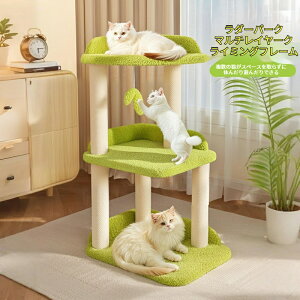 yX[p[SALE×10OFFzLbg^[ u ^L nbNt  VjAL qL ZL 70cm i Ki ܂Ƃ    gȒP L^[ 킢 