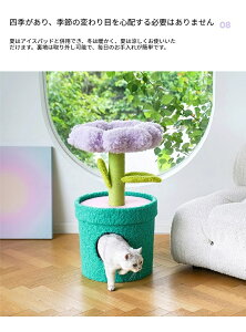 yȃN[|LzALbg^[ PET HOUSE L A ybg xbg ZEZE [[ _炩 ʋC ybg Zeze