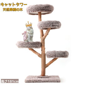 【マラソン期間P5倍×5％OFFクーポン有り】【天然木】キャットタワー 木製 天然木 ナチュラル 猫タワー 据え置き おしゃれ 多頭飼い ベッド おしゃれ ネコ 猫用 運動不足 ス料トレス解消 安定性抜群 北欧 シンプル インテリア 敬老の日