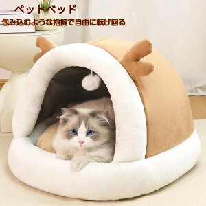 ~p ӂӂ ybgxbh h[^ g Lpxbh h[nEX ~p LnEX Xbp^ ӂӂ   ybgpQ ybgnEX ۉh 􂦂 ΍ ybg