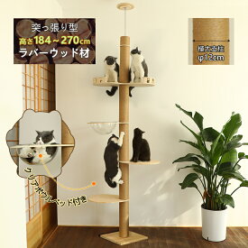 【お得なクーポン有り】】キャットタワー 天然木 大型猫 突っ張り 木製 スリム おしゃれ 高さ184-270cm 可愛い柵付き 透明宇宙船 オリジナル ハンモック 木登りタワー 大型猫 キャットポール 省スペース 室内 多頭飼い